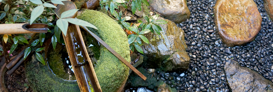 糸屋の室内写真 | 坪庭