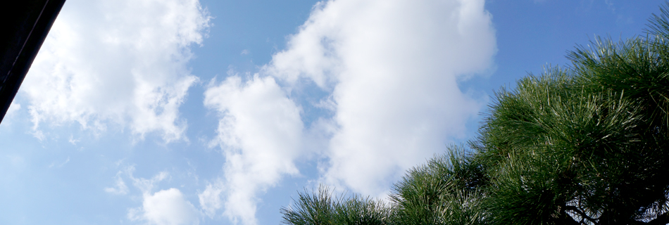 糸屋の室内写真 | 坪庭からの風景
