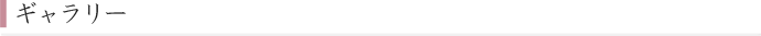 ギャラリー